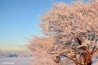 /album/%e3%83%95%e3%82%a9%e3%83%88%e3%82%ae%e3%83%a3%e3%83%a9%e3%83%aa%e3%83%bc/%e5%87%8d%e3%81%a6%e3%81%a4%e3%81%8f%e6%9c%9d%e3%81%ab%e6%a8%b9%e6%b0%b7%e3%81%af%e8%bc%9d%e3%81%84%e3%81%a6%e3%83%bb%e3%83%bb%e3%83%bb-jpg1/