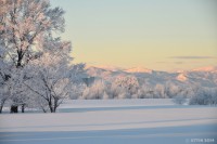 /album/%e3%83%95%e3%82%a9%e3%83%88%e3%82%ae%e3%83%a3%e3%83%a9%e3%83%aa%e3%83%bc/dsc-6586-jpg/