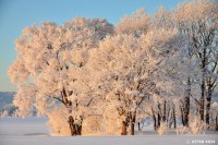 /album/%e3%83%95%e3%82%a9%e3%83%88%e3%82%ae%e3%83%a3%e3%83%a9%e3%83%aa%e3%83%bc/dsc-6593-jpg1/