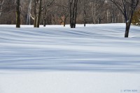 /album/%e3%83%95%e3%82%a9%e3%83%88%e3%82%ae%e3%83%a3%e3%83%a9%e3%83%aa%e3%83%bc/%e6%9c%a8%e3%81%a8%e5%bd%b1%e3%81%a8%e9%9b%aa%e9%9d%a2%e3%81%a8%e3%83%bb%e3%83%bb%e3%83%bb-jpg/