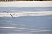 /album/%e3%83%95%e3%82%a9%e3%83%88%e3%82%ae%e3%83%a3%e3%83%a9%e3%83%aa%e3%83%bc/%e6%9c%a8%e3%81%a8%e5%bd%b1%e3%81%a8%e9%9b%aa%e9%9d%a2%e3%81%a8%e3%83%bb%e3%83%bb%e3%83%bb2-jpg/