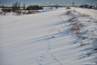 /album/%e3%83%95%e3%82%a9%e3%83%88%e3%82%ae%e3%83%a3%e3%83%a9%e3%83%aa%e3%83%bc/%e5%9c%9f%e6%89%8b%e8%a1%8c%e3%81%8f%e9%a2%a8%e3%81%af%e3%82%b9%e3%83%88%e3%83%a9%e3%82%a4%e3%83%97%e3%82%92%e6%8f%8f%e3%81%84%e3%81%a6%e3%83%bb%e3%83%bb%e3%83%bb-jpg/