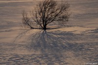 /album/%e3%83%95%e3%82%a9%e3%83%88%e3%82%ae%e3%83%a3%e3%83%a9%e3%83%aa%e3%83%bc/%e5%90%b9%e3%81%8d%e3%81%95%e3%82%89%e3%81%97%e3%81%ae%e9%9b%aa%e5%8e%9f%e3%81%ab%e4%bc%b8%e3%81%b3%e3%82%8b%e5%86%b7%e3%81%9f%e3%81%84%e5%bd%b1-jpg/