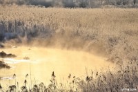 /album/%e3%83%95%e3%82%a9%e3%83%88%e3%82%ae%e3%83%a3%e3%83%a9%e3%83%aa%e3%83%bc/a5-2-1-jpg/