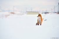 /album/%e3%83%95%e3%82%a9%e3%83%88%e3%82%ae%e3%83%a3%e3%83%a9%e3%83%aa%e3%83%bc/%e4%bb%8a%e5%b9%b4%e3%82%82%e4%bc%9a%e3%81%88%e3%81%9f%e9%a2%a8%e3%81%ae%e4%b8%ad%e3%81%ae%e5%90%9b-jpg/