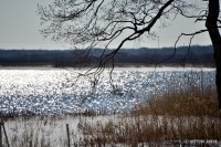 /album/%e6%98%a5/%e3%81%8d%e3%82%89%e3%82%81%e3%81%8f%e6%b9%96%e9%9d%a2%e3%81%af%e6%98%a5%e3%81%ae%e8%a8%aa%e3%82%8c-jpg/