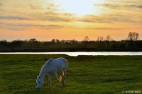 /album/%e6%98%a5/dsc-4865-jpg/