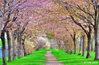 /album/%e6%98%a5/%e6%a1%9c%e3%83%88%e3%83%b3%e3%83%8d%e3%83%ab4-jpg/