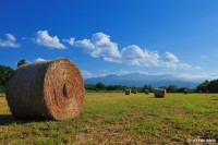 /album/%e5%a4%8f/a6s-jpg/