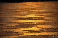 /album/%e6%98%a5/%e4%b8%89%e6%97%a5%e6%9c%88%e6%b9%96%e2%80%a6%e9%bb%84%e9%87%91%e8%89%b2%e3%81%ab%e8%9e%8d%e3%81%91%e3%81%a6%e3%81%84%e3%81%8f2-1-jpg/