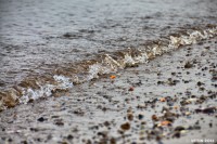 /album/%e6%98%a5/%e6%98%a5%e3%81%ae%e6%b5%b7%e5%b2%b84-jpg/