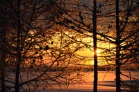 /album/%e3%83%95%e3%82%a9%e3%83%88%e3%82%ae%e3%83%a3%e3%83%a9%e3%83%aa%e3%83%bc/a5-jpg/