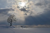 /album/%e3%83%95%e3%82%a9%e3%83%88%e3%82%ae%e3%83%a3%e3%83%a9%e3%83%aa%e3%83%bc/a4-jpg/