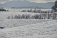 /album/%e3%83%95%e3%82%a9%e3%83%88%e3%82%ae%e3%83%a3%e3%83%a9%e3%83%aa%e3%83%bc/a8-jpg/