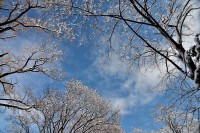 /album/%e3%83%95%e3%82%a9%e3%83%88%e3%82%ae%e3%83%a3%e3%83%a9%e3%83%aa%e3%83%bc/a10-jpg/