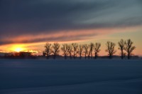 /album/%e3%83%95%e3%82%a9%e3%83%88%e3%82%ae%e3%83%a3%e3%83%a9%e3%83%aa%e3%83%bc/a11-jpg/