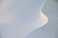 /album/%e3%83%95%e3%82%a9%e3%83%88%e3%82%ae%e3%83%a3%e3%83%a9%e3%83%aa%e3%83%bc/a16-jpg/