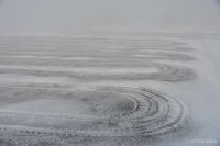 /album/%e6%98%a5/%e3%81%be%e3%81%8b%e3%82%8c%e3%81%9f%e7%81%b0%e3%81%af%e6%98%a5%e6%9d%a5%e3%81%84%e6%a8%a1%e6%a7%98-jpg/