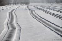 /album/%e6%98%a5/%e3%81%be%e3%81%8b%e3%82%8c%e3%81%9f%e7%81%b0%e3%81%af%e6%98%a5%e6%9d%a5%e3%81%84%e6%a8%a1%e6%a7%984-jpg/