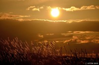 /album/%e7%a7%8b/%e5%a4%95%e9%99%bd%e3%81%a8%e3%80%81%e7%b5%b5%e3%81%ab%e3%81%aa%e3%82%8b%e3%82%b9%e3%82%b9%e3%82%ad2-jpg/