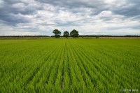 /album/%e5%a4%8f/%e7%94%b0%e3%82%93%e3%81%bc%e7%95%a6%e9%81%93%ef%bd%a5%ef%bd%a5%ef%bd%a5%e4%b8%89%e5%85%84%e5%bc%9f-jpg/