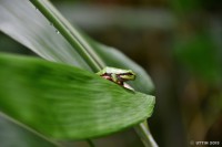 /album/%e5%a4%8f/%e8%92%b8%e3%81%99%e6%97%a5%e3%81%ae%e6%97%a5%e5%85%89%e6%b5%b4-jpg/