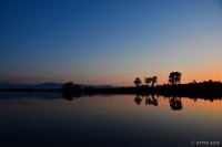 /album/%e5%a4%8f/%e5%a4%95%e6%9a%ae%e3%82%8c%e6%99%82%e3%81%ae%e3%81%97%e3%81%98%e3%81%be-jpg/