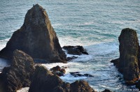 /album/%e5%a4%8f/dsc-52611-jpg/