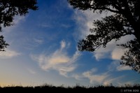 /album/%e5%a4%8f/dsc-5626-1-jpg/