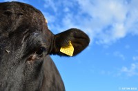 /album/%e5%a4%8f/%e6%94%be%e7%89%a7%ef%bd%9e%e4%b8%b8%e5%8a%a0%e9%ab%98%e5%8e%9f%e3%81%ae%e5%a4%8fpart%ef%bc%94%ef%bd%9e2-jpg/