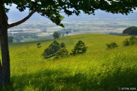 /album/%e5%a4%8f/a1-2-jpg1/