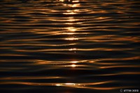 /album/%e5%a4%8f/%e5%ae%9d%e7%9f%b3%e3%81%8c%e6%95%a3%e3%82%8a%e3%81%b0%e3%82%81%e3%82%89%e3%82%8c%e3%81%9f%e6%b5%b7%e3%81%a8%e7%b6%ba%e9%ba%97%e3%81%aa%e5%a4%95%e9%99%bd2-jpg/