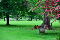 /album/%e5%a4%8f/%e3%81%82%e3%82%8b%e3%83%99%e3%83%b3%e3%83%81%e3%81%ae%e9%a2%a8%e6%99%af%ef%bd%9e%e4%bc%91%e6%97%a5%e3%81%ae%e5%8d%88%e5%be%8c%ef%bd%9e-jpg/