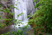 /album/%e5%a4%8f/a1-4-jpg/