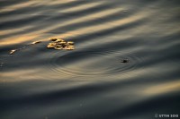 /album/%e5%a4%8f/%e7%9f%b3%e7%8b%a9%e3%81%ae%e7%a9%ba%e3%81%ab%e6%b3%a2%e7%b4%8b%e5%bd%a2%e3%81%ae%e9%9b%b2%e3%81%a8%e3%82%a2%e3%83%a1%e3%83%b3%e3%83%9c4-jpg/