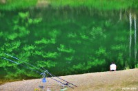 /album/%e5%a4%8f/dsc-7494-jpg/