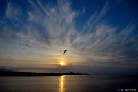 /album/%e5%a4%8f/%e3%81%be%e3%81%9f%e4%bb%8a%e6%97%a5%e3%82%82%e6%9a%ae%e3%82%8c%e3%81%a6%e3%81%84%e3%81%8f%e3%83%bb%e3%83%bb%e3%83%bb-jpg/