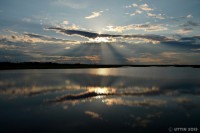 /album/%e5%a4%8f/%e7%a7%8b%e3%81%ae%e7%a9%ba%e3%81%af%e3%81%aa%e3%82%93%e3%81%a8%e3%82%84%e3%82%89%e3%83%bb%e3%83%bb%e3%83%bb-jpg/