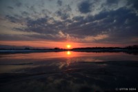 /album/%e6%98%a5/dsc-1879-jpg/