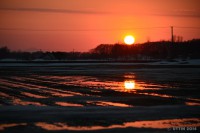 /album/%e6%98%a5/dsc-1880-jpg/