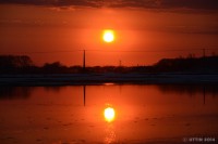 /album/%e6%98%a5/dsc-1872-jpg/