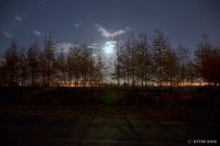 /album/photo-gallery-silhouette/%e4%bb%8a%e5%ae%b5%e3%80%81%e6%9c%88%e3%81%8c%e7%9c%a9%e3%81%97%e3%81%8f%e3%81%a6%e3%83%bb%e3%83%bb%e3%83%bb1-jpg/