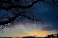 /album/photo-gallery-silhouette/%e6%9a%ae%e3%82%8c%e3%81%aa%e3%81%9a%e3%82%80%e7%a9%ba%e3%81%ab%e6%b5%ae%e3%81%8b%e3%81%b6%e3%83%8f%e3%83%ab%e3%83%8b%e3%83%ac%e3%81%ae%e6%9c%a8-jpg/