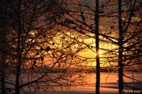 /album/photo-gallery-silhouette/%e6%97%a5%e3%81%ae%e5%87%ba%e3%81%ab%e8%b8%8a%e3%82%8b%e6%a8%b9%e6%b0%b7%e3%81%9f%e3%81%a1-jpg/