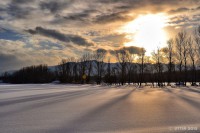 /album/photo-gallery-silhouette/%e9%9b%aa%e9%9d%a2%e3%81%ae%e3%82%b9%e3%83%88%e3%83%a9%e3%82%a4%e3%83%972-jpg/