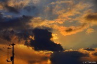 /album/photo-gallery-silhouette/%e4%b9%85%e3%81%97%e3%81%b6%e3%82%8a%e3%81%ab%e7%87%83%e3%81%88%e3%81%be%e3%81%97%e3%81%9f1-jpg/