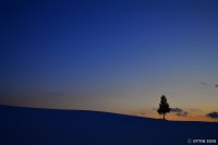 /album/photo-gallery-silhouette/%e7%be%8e%e7%91%9b%e3%81%ae%e4%b8%98%e2%80%a6%e5%a4%95%e9%99%bd%e3%81%ae%e6%9c%a82-jpg1/