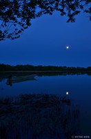 /album/photo-gallery-silhouette/%e6%b0%b4%e9%9d%a2%e3%81%ae%e9%8f%a1%e3%81%ab%e6%98%a0%e3%82%8b%e3%80%81%e3%82%82%e3%81%86%e3%81%99%e3%81%90%e6%ba%80%e6%9c%88%e3%81%ae%e6%9c%88-jpg1/