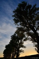 /album/photo-gallery-silhouette/dsc-5613-1-jpg1/