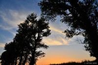 /album/photo-gallery-silhouette/dsc-5638-1-jpg/